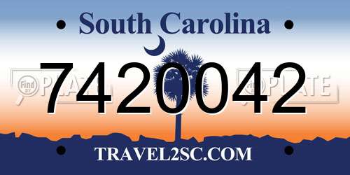 7420042 South Carolina License Plate