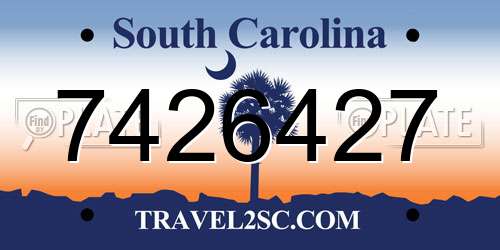 7426427 South Carolina License Plate