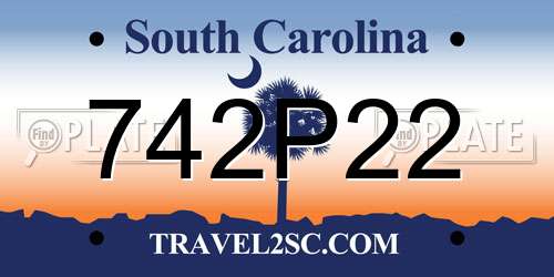 742P22 South Carolina License Plate