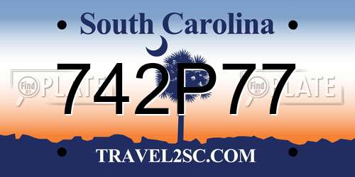 742P77 South Carolina License Plate