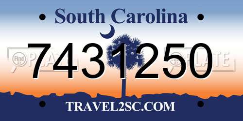 7431250 South Carolina License Plate