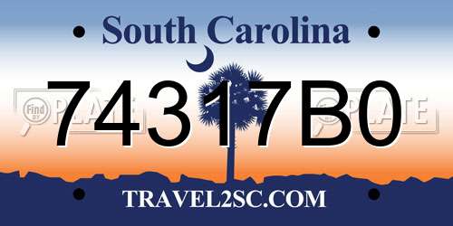 74317B0 South Carolina License Plate