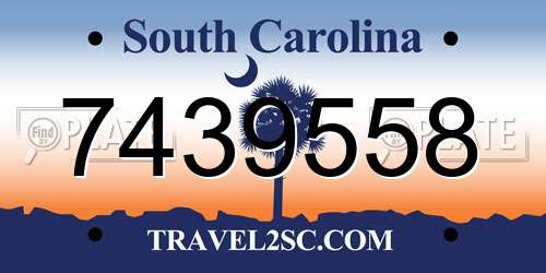 7439558 South Carolina License Plate