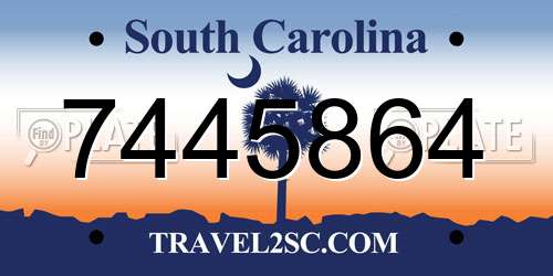 7445864 South Carolina License Plate