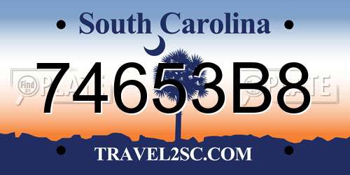 74653B8 South Carolina License Plate