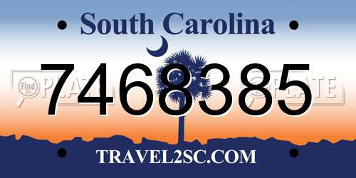 7468385 South Carolina License Plate