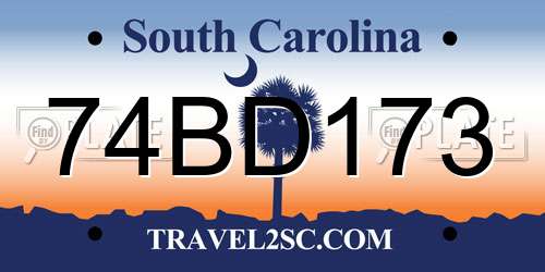 74BD173 South Carolina License Plate