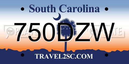 750DZW South Carolina License Plate