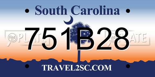 751B28 South Carolina License Plate