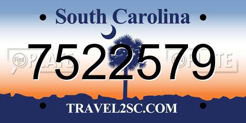 7522579 South Carolina License Plate