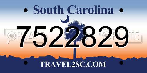 7522829 South Carolina License Plate
