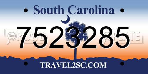 7523285 South Carolina License Plate