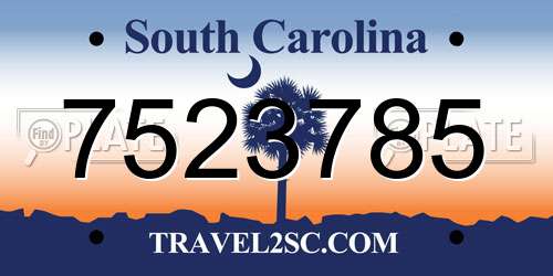 7523785 South Carolina License Plate