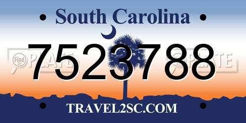 7523788 South Carolina License Plate