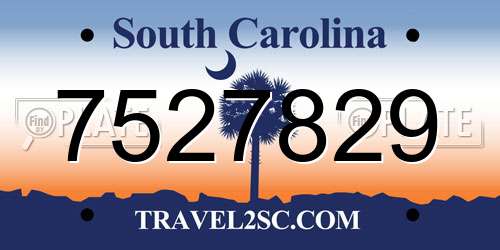 7527829 South Carolina License Plate