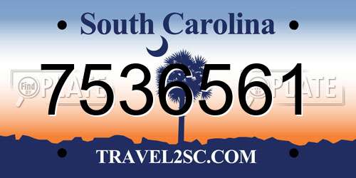 7536561 South Carolina License Plate
