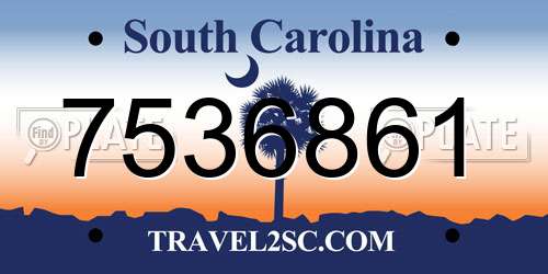 7536861 South Carolina License Plate