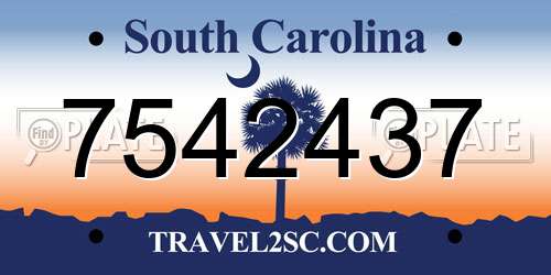 7542437 South Carolina License Plate