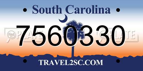 7560330 South Carolina License Plate