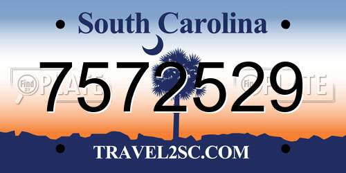 7572529 South Carolina License Plate