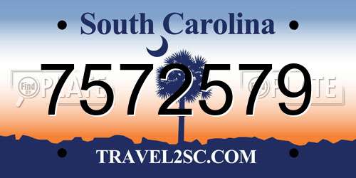 7572579 South Carolina License Plate