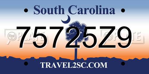 75725Z9 South Carolina License Plate