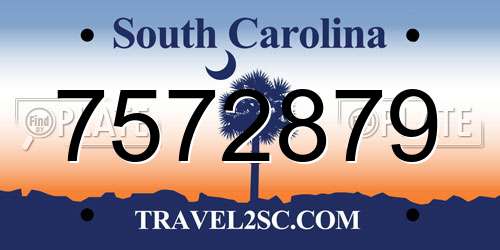 7572879 South Carolina License Plate