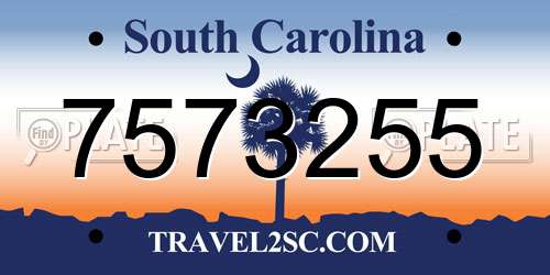 7573255 South Carolina License Plate
