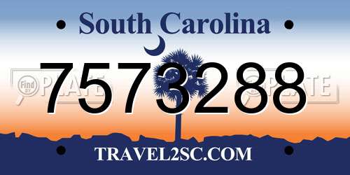 7573288 South Carolina License Plate