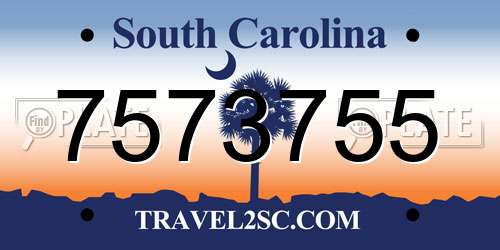 7573755 South Carolina License Plate
