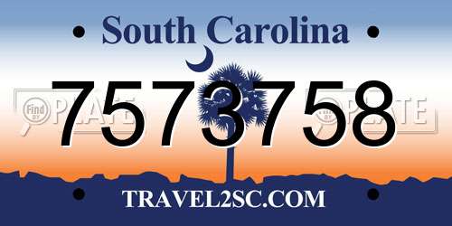 7573758 South Carolina License Plate