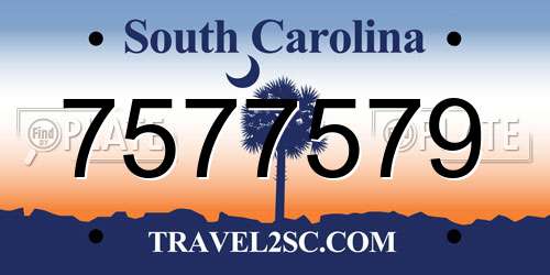 7577579 South Carolina License Plate