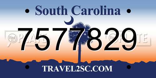 7577829 South Carolina License Plate