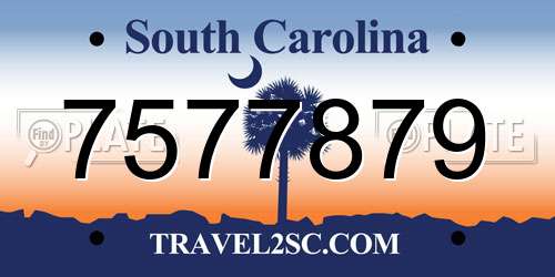 7577879 South Carolina License Plate
