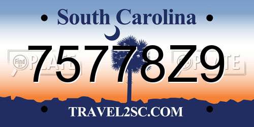75778Z9 South Carolina License Plate
