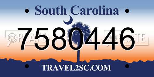 7580446 South Carolina License Plate