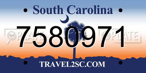 7580971 South Carolina License Plate