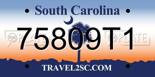 75809T1 South Carolina License Plate