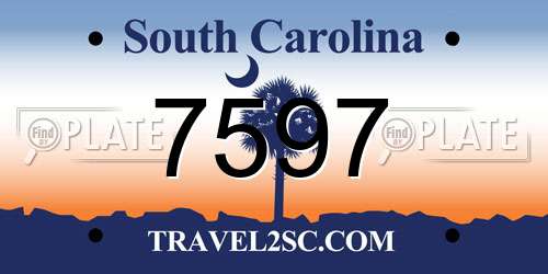 7597 South Carolina License Plate
