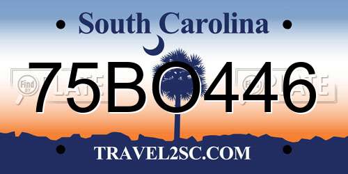 75BO446 South Carolina License Plate