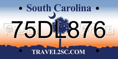 75DL876 South Carolina License Plate