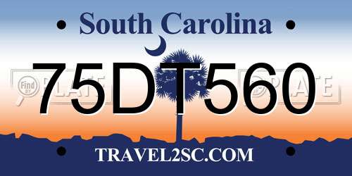 75DT560 South Carolina License Plate