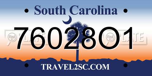 76028O1 South Carolina License Plate