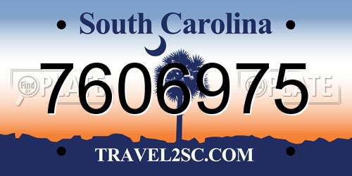 7606975 South Carolina License Plate