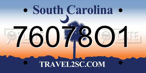 76078O1 South Carolina License Plate