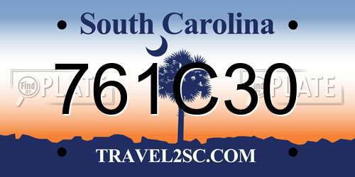 761C30 South Carolina License Plate