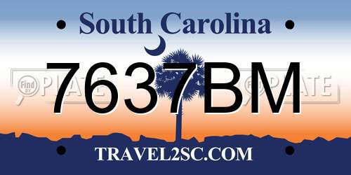 7637BM South Carolina License Plate
