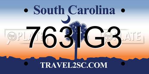 763IG3 South Carolina License Plate