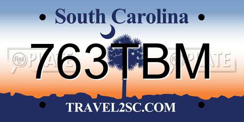 763TBM South Carolina License Plate
