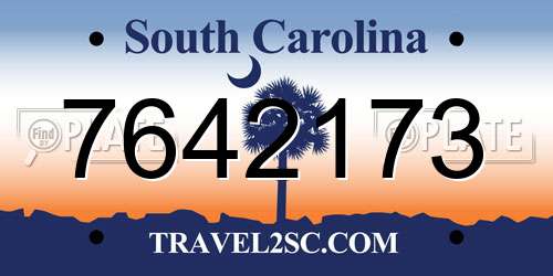 7642173 South Carolina License Plate